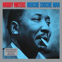 Виниловая пластинка Muddy Waters / Hoochie Coochie Man (Coloured Vinyl)(2LP)