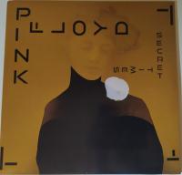 Виниловая пластинка Pink Floyd / Secret times (PINK FLOYDLP) (1LP)