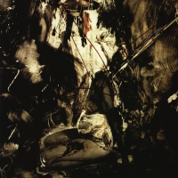 Виниловая пластинка Fields Of The Nephilim / Elizium (Brick Red) (2LP)