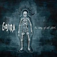 Виниловая пластинка GOJIRA / THE WAY OF ALL FLESH (2LP)