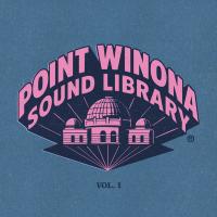 Виниловая пластинка Various Artists / Point winona sound library (2LP)