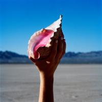 Виниловая пластинка The Killers / Wonderful Wonderful (LP)