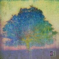 Виниловая пластинка Johnson Eric / Ej (LP)