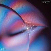 Виниловая пластинка GUY SIGSWORTH / STET (1LP)