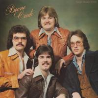 Виниловая пластинка Boone Creek / Boone Creek (1LP)
