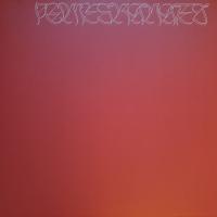 Виниловая пластинка Nicolas Jaar / Pomegranates (2LP)