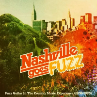 Виниловая пластинка Various Artists / Nashville Goes Fuzz (coloured) (1LP)