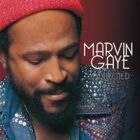 Виниловая пластинка Marvin Gaye / Collected (2LP)