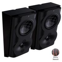 Настенная акустика Perlisten Audio S4s Ebony Natural