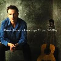 Компакт-диск Ottmar Liebert / Little Wing (Jewel) (1CD)