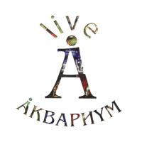 Виниловая пластинка Аквариум / Live (10LP)