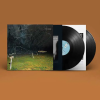 Виниловая пластинка Yo La Tengo / This Stupid World (2LP) Виниловая пластинка Yo La Tengo / This Stupid World (2LP)