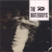 Виниловая пластинка Waterboys / Waterboys (1LP)