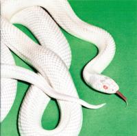 Компакт-диск Deftones / Private Music (Digisleeve) (1CD)