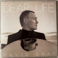 Виниловая пластинка David Gray / Dear Life (2LP)