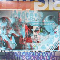 Виниловая пластинка BIG RED MACHINE / HOW LONG DO YOU THINK IT S LAST (2LP)