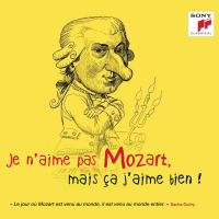 Компакт-диск Various Artists / Mozart: je n'aime pas, mais ca j'aime bien! (Jewel)(1CD)