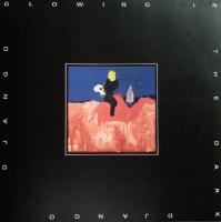 Виниловая пластинка Django Django / Glowing in the dark (1LP)