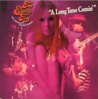 Виниловая пластинка Electric Flag / A long time comin' (lp)