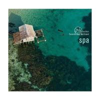 Виниловая пластинка Collection Yann Arthus Bertrand / Spa (1LP)
