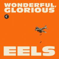 Компакт-диск Eels / Wonderful, Glorious (Jewel) (1CD)