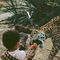 Компакт-диск Unknown Mortal Orchestra / V (Digisleeve)(1CD)