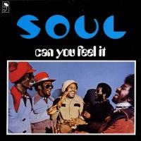 Виниловая пластинка S.O.U.L. / CAN YOU FEEL IT? (1LP)