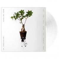 Виниловая пластинка Caroline Shaw, So Percussion / Let The Soil Play Its Simple Part (Limited Edition)(Clear Vinyl)(LP)