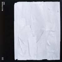 Виниловая пластинка Nils Frahm / Day (1LP)