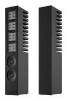 Напольная акустика Piega Master Line Source 2 Gen 2 Baffle anodised black / High-gloss black