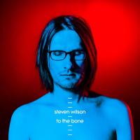 Виниловая пластинка Steven Wilson / To The Bone (2LP)