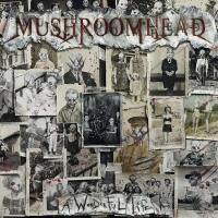 Виниловая пластинка MUSHROOMHEAD / A WONDERFUL LIFE (2LP)