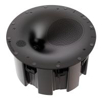 Встраиваемая акустика Perlisten Audio R3ic