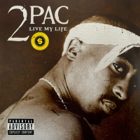 Виниловая пластинка 2Pac / Live My Life (Gold) (1LP)