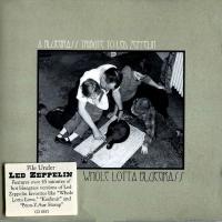 Компакт-диск Iron Horse / Whole Lotta Bluegrass - A Bluegrass Tribute To Led Zeppelin (CD)