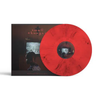 Виниловая пластинка Michael Kiwanuka / Small Changes (Burgundy) (1LP)