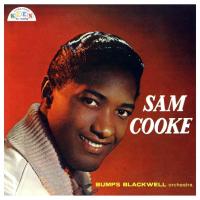 Виниловая пластинка Sam Cooke / Sam Cooke (LP)