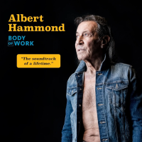 Виниловая пластинка Albert Hammond / Body Of Work (2LP)