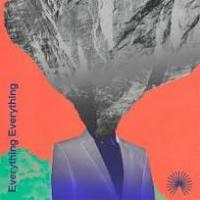 Виниловая пластинка Everything Everything / Mountainhead (1LP)