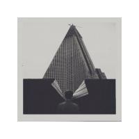 Виниловая пластинка Molchat Doma / S krysh nashikh domov (yellow) (1LP)