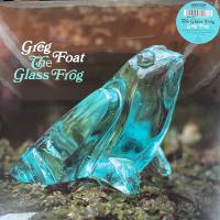 Виниловая пластинка Greg Foat / The Glass Frog (1LP)