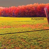 Виниловая пластинка Plymouth / Plymouth (1LP)