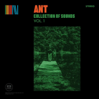 Виниловая пластинка Ant / Collection Of Sounds Vol.1 (1LP)