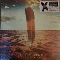 Виниловая пластинка Xavier Rudd / Spirit Bird (2LP)