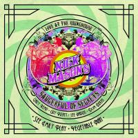 Виниловая пластинка Nick Mason's Saucerful Of Secrets / See Emily Play, Vegetable Man (Limited Edition)(12" Vinyl Single)