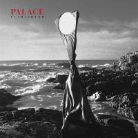 Виниловая пластинка Palace / Ultrasound (Red Vinyl) (1LP)
