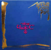 Виниловая пластинка Легенды Русского Рока / Чиж&со (blue) (2LP) Виниловая пластинка Легенды Русского Рока / Чиж&со (blue) (2LP)