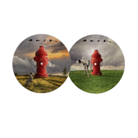 Виниловая пластинка RUSH / Signals (40th Anniversary) (Picture) (1LP)