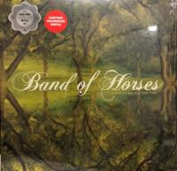 Виниловая пластинка Band Of Horses / EVERYTHING ALL THE TIME (1LP)