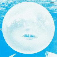 Виниловая пластинка Wilco / Summerteeth (Limited Edition Box Set)(5LP)